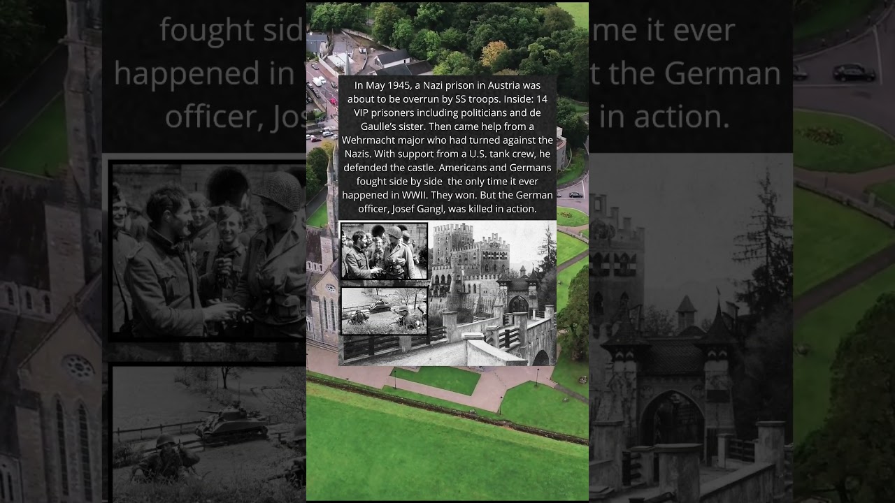 The germans team up as the driverless battles heat up