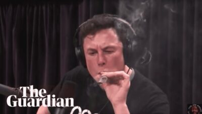 elon musk pot gate